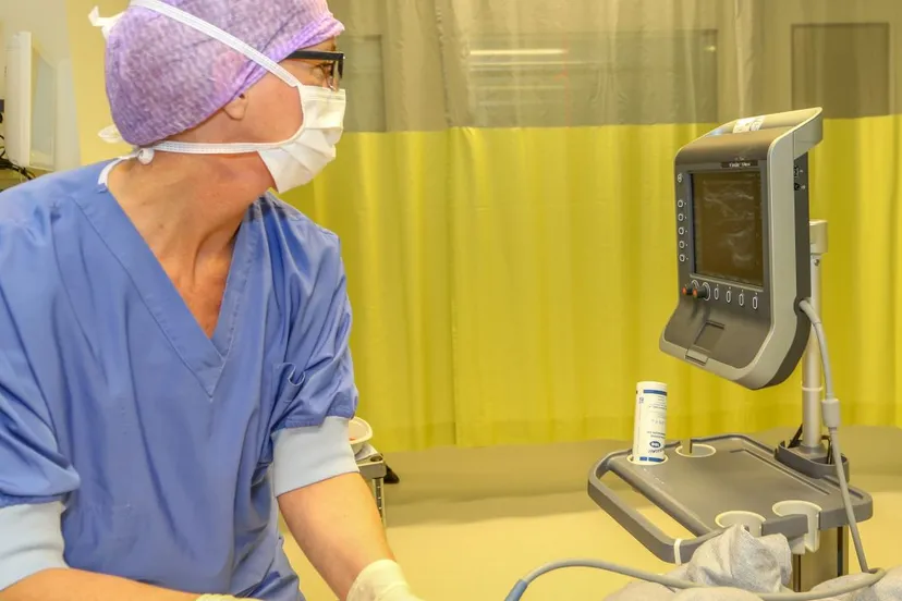 2017 06 02 menader verdoven