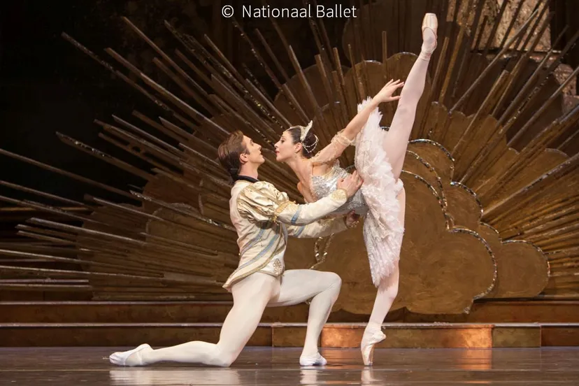 2017 06 06 sleeping beauty 3