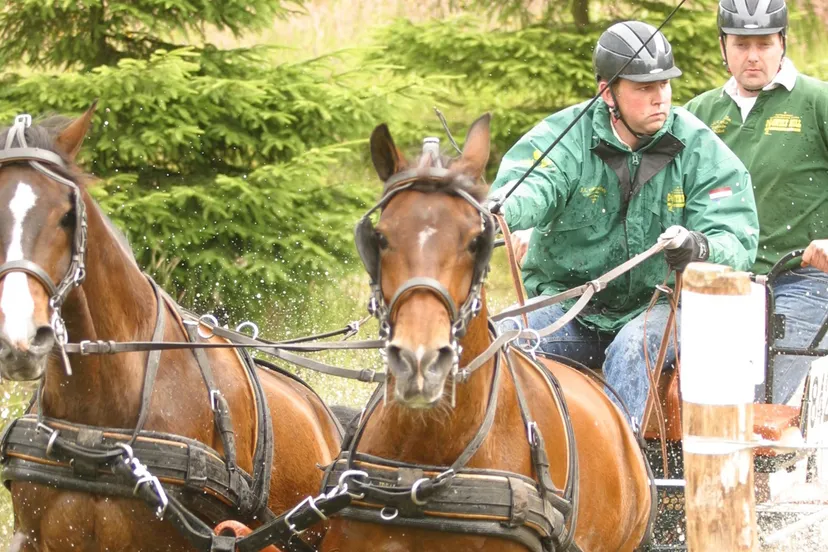 2017 07 19 lezing mensport