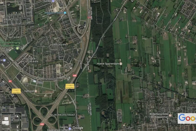 2017 07 31 hoevelakens bos