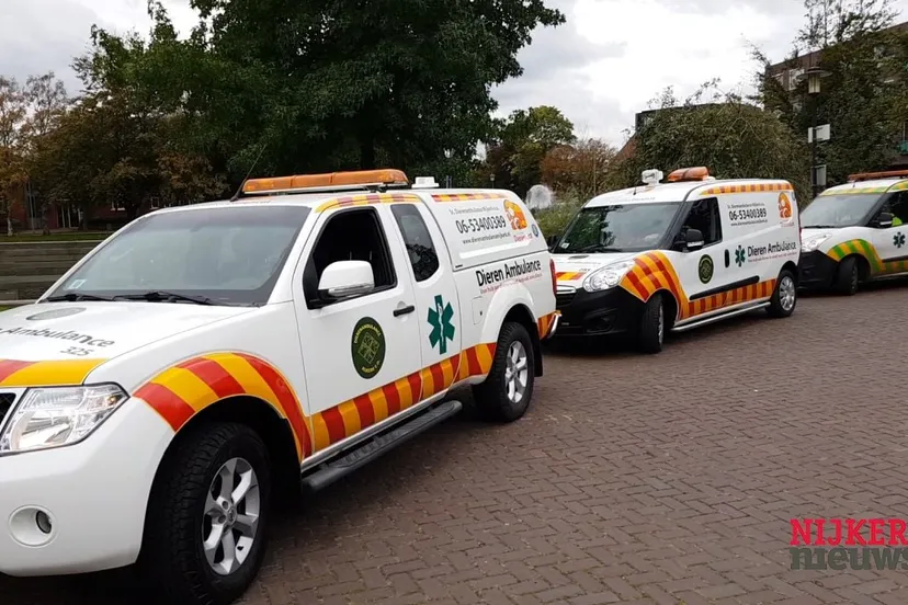 2017 10 04 dierenambulance