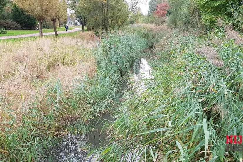 2017 10 20 groenonderhoud 1