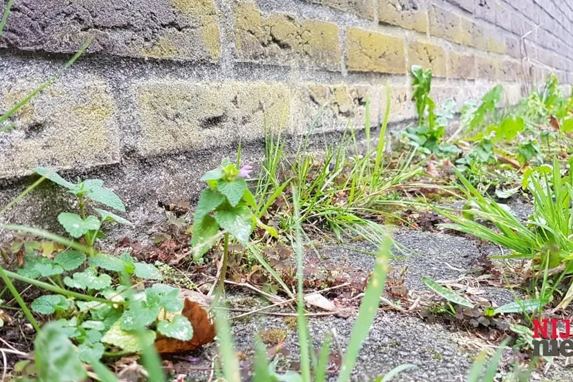 2017 10 20 groenonderhoud 2