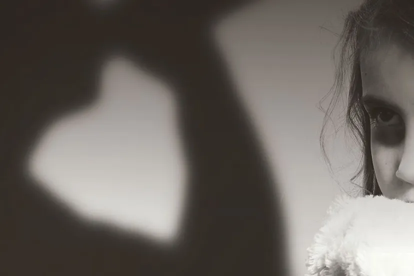 2017 10 24 coverfoto schaap in wolfskleren