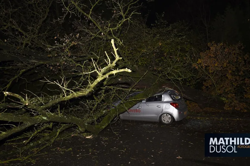 2017 11 21 meinstraat 2