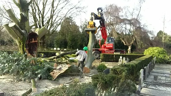 2018 01 30 begraafplaats hoevelaken stormschade 2