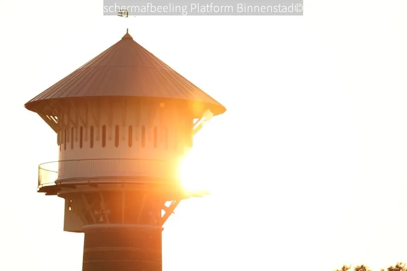 2018 03 15 platform binnenstad