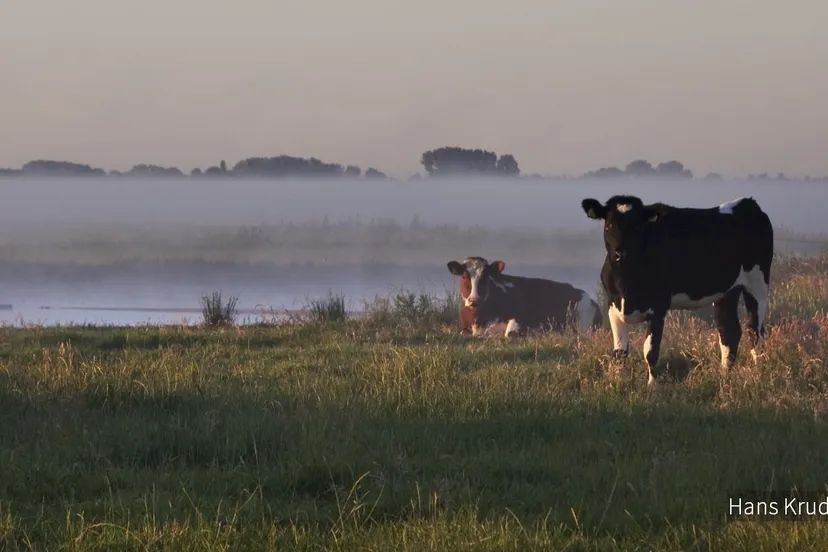 2018 04 30 dauwtrappen arkemheen 1