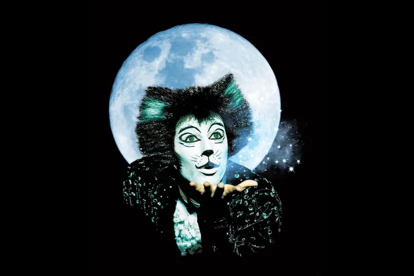 2018 05 22 cats foto6