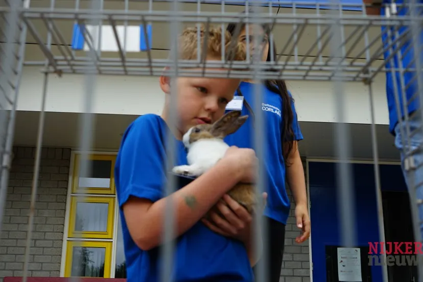 2018 05 2daltonschool klimrek 05