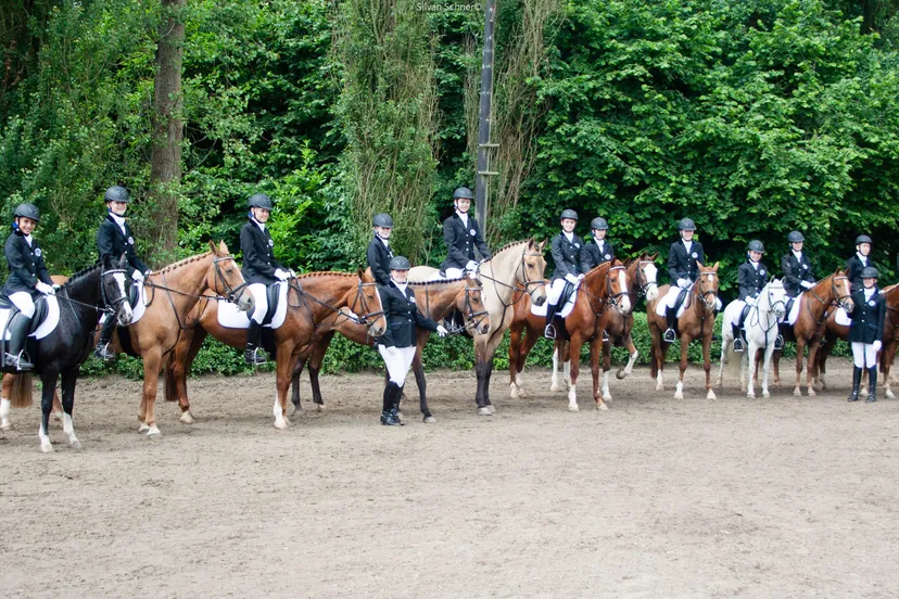 2018 06 02 carroussel rijden kraaij