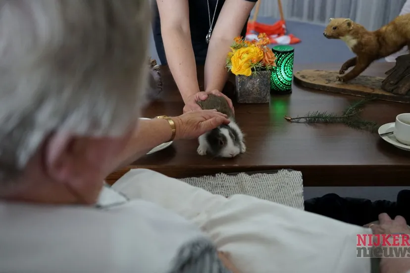 2018 06 27 de pol ivn 01