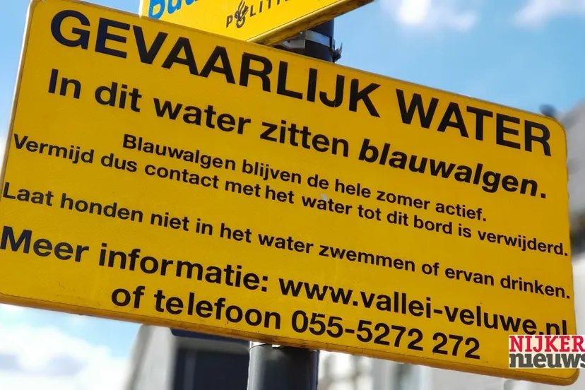 2018 08 13 blauwalg 11