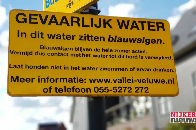 2018 08 13 blauwalg 21