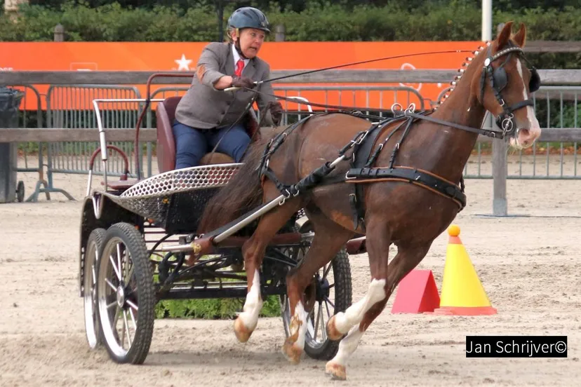 2018 09 23 petra de graaf 001