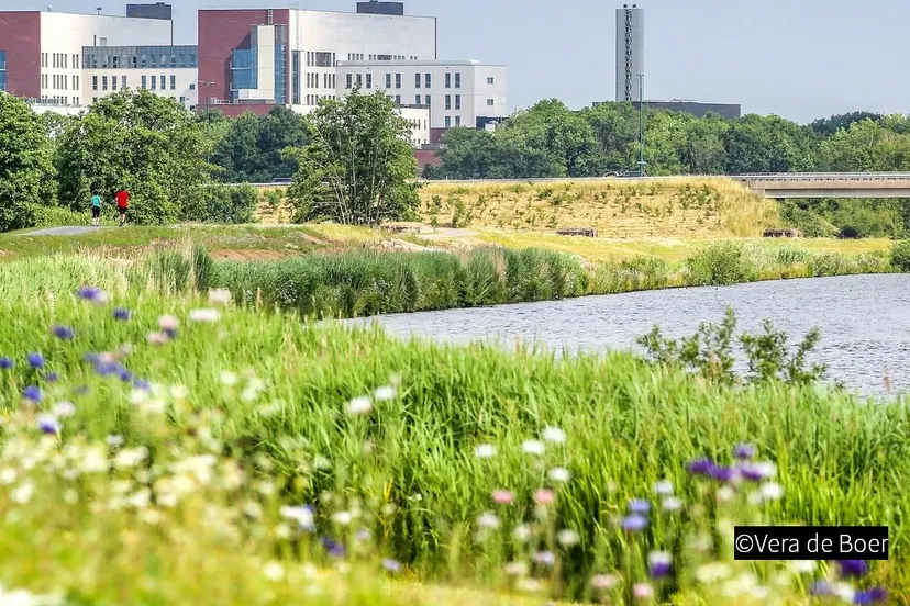 2018 10 14 meander 02