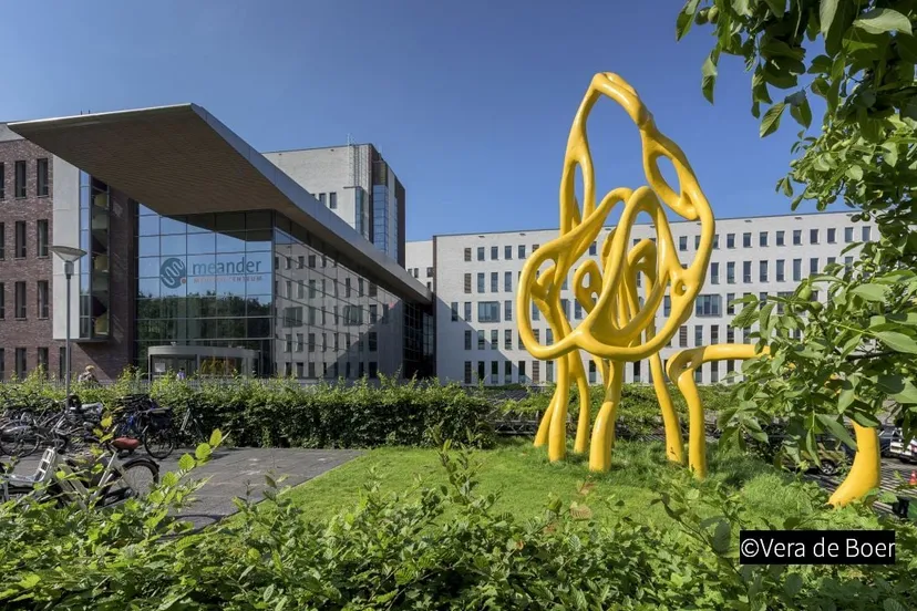 2018 10 14 meander 05