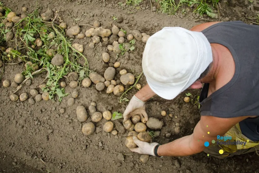 2018 10 14 regio foodvalley 2