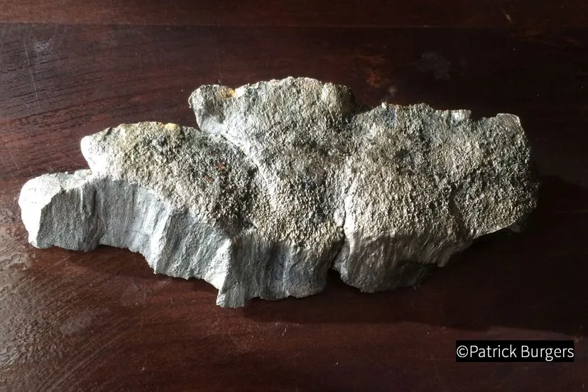 2018 10 26 bomscherf 01