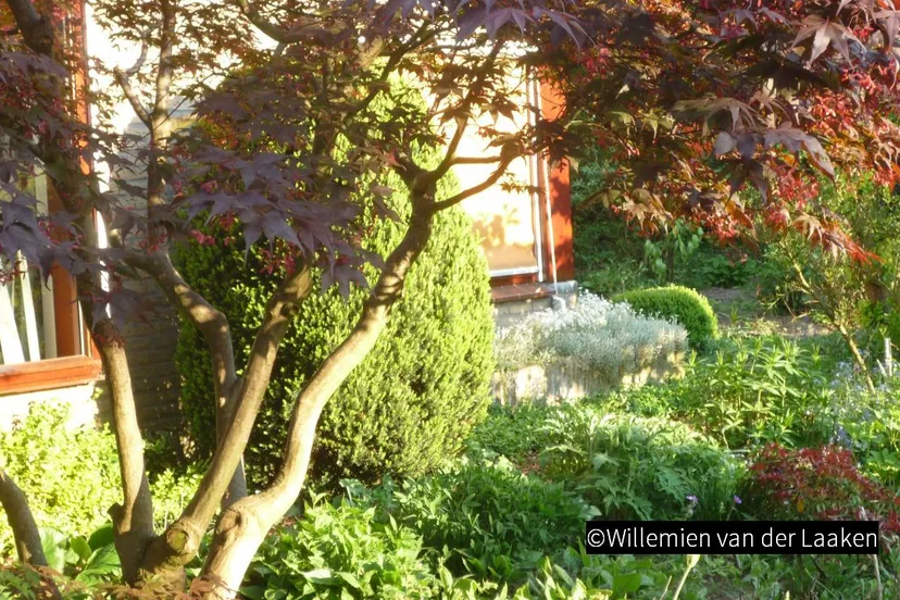 2018 11 03 groei en bloei 01