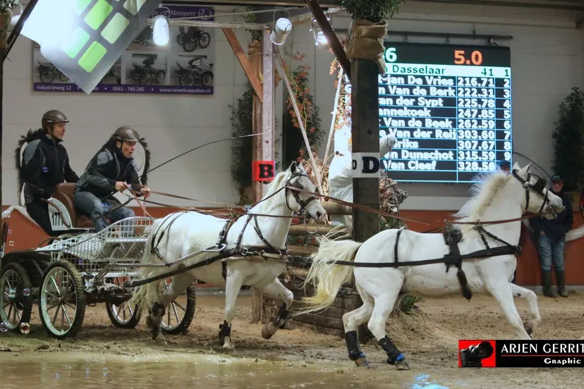 2018 11 03 mmenindoor dasselaaar