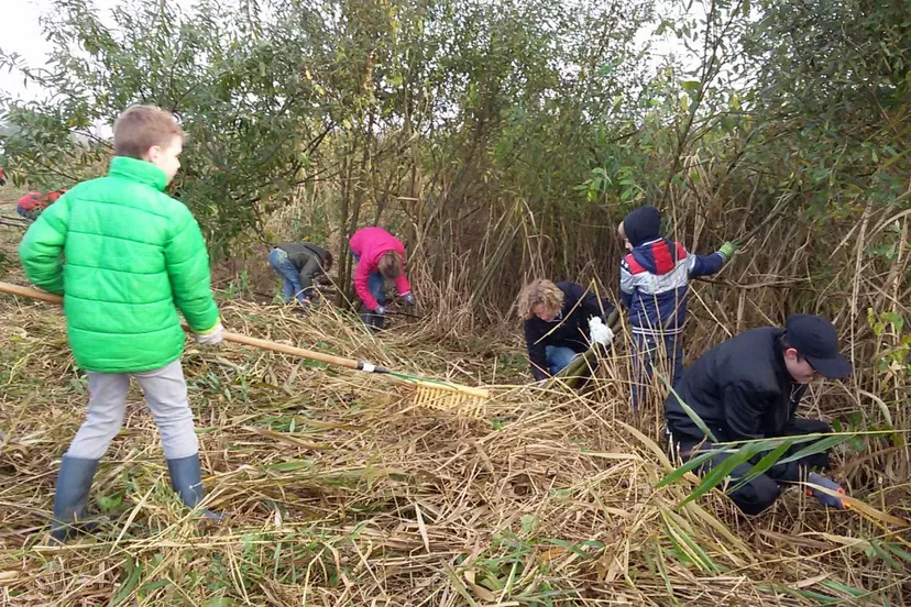 2018 11 18 vogeleiland 3