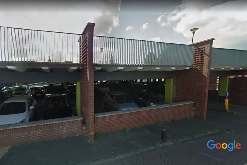 2018 11 22 bonte koe