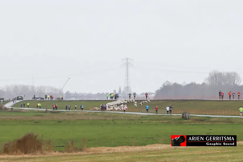 2018 12 08 koude polderloop 10 km 025