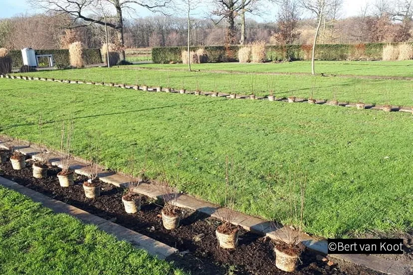 2018 12 10 kerkhof hoevelaken begraafplaats 001