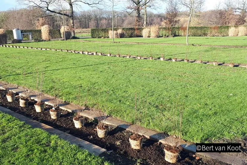 2018 12 10 kerkhof hoevelaken begraafplaats 001