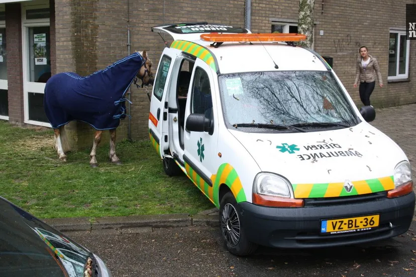 2019 01 07 dierenambulance 008