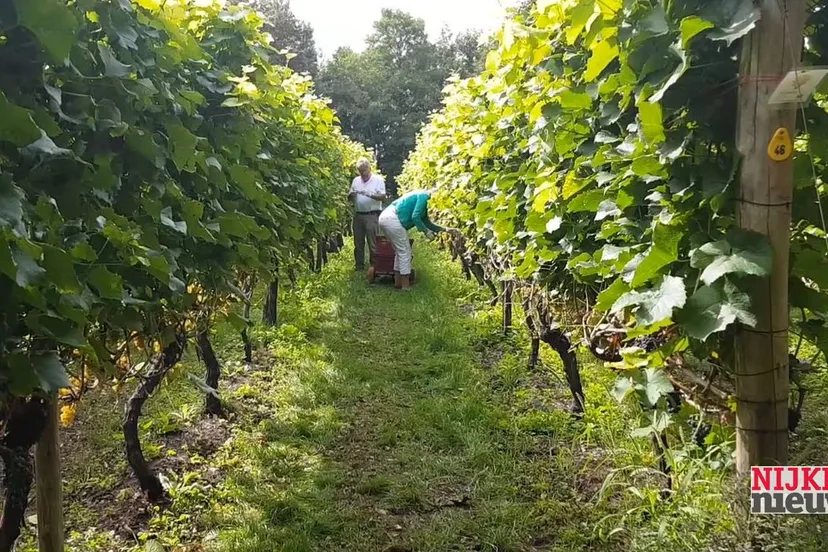 2019 01 09 breede beek 3