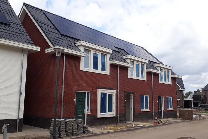 2019 01 14 wsn doornsteeg amandel