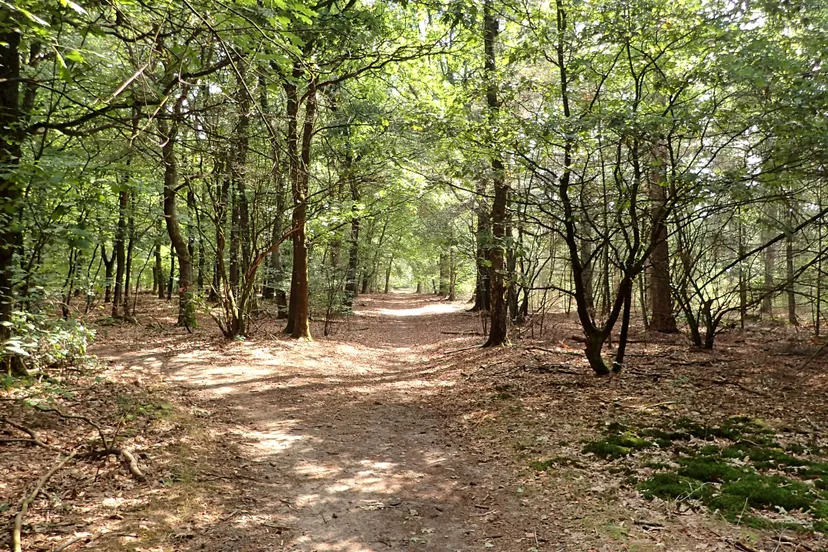 2019 01 30 wandelen1