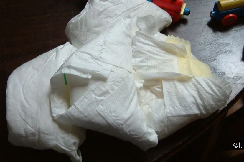 2019 01 31 luiers 01