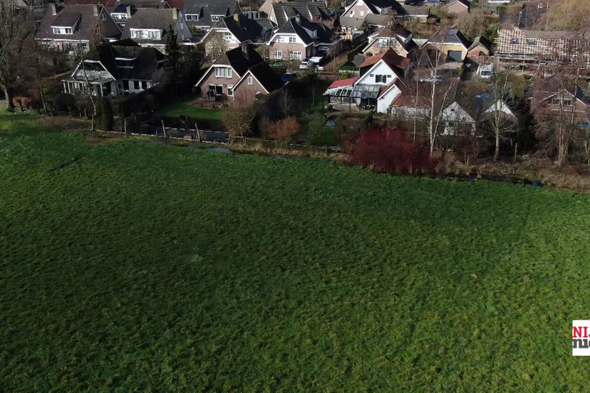 2019 02 11 weiland filippoterrein