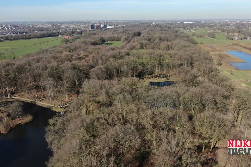 2019 02 25 hoevelakense bos 002