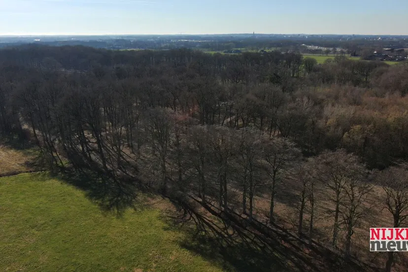 2019 02 25 hoevelakense bos 003