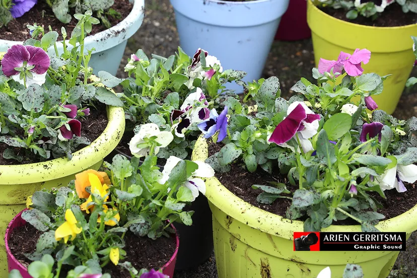 2019 03 15 nl doet 011