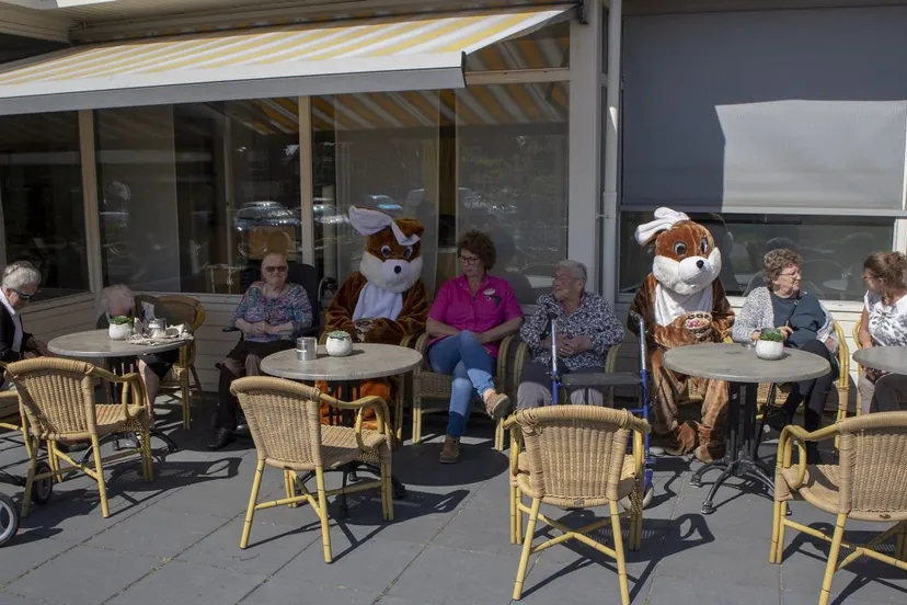 2019 04 19 paashazen nov 1