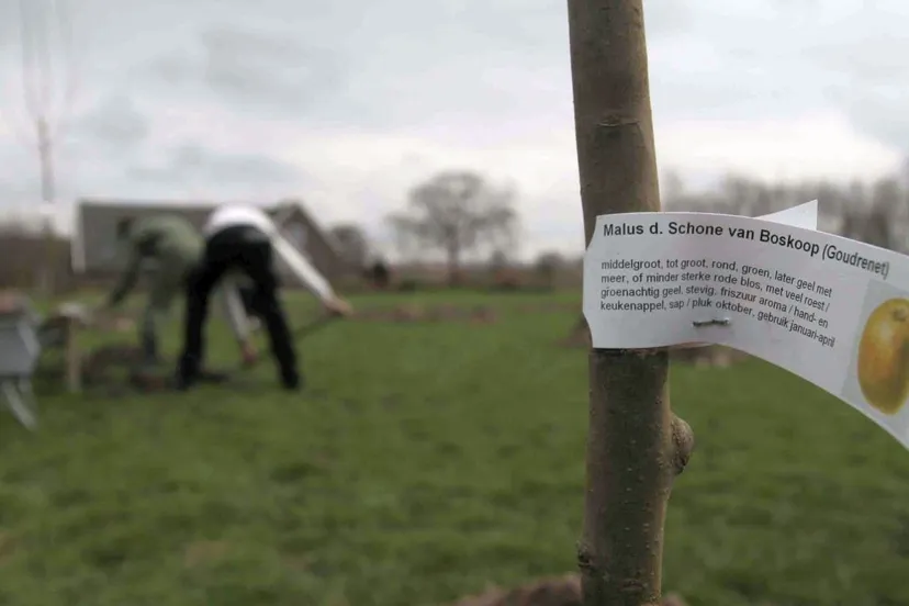 2019 05 02 landschapsbeheer boom nijkerkihgroen3