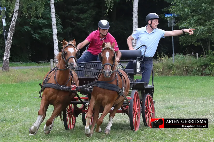 2019 07 06 dap aangespannen paard 13