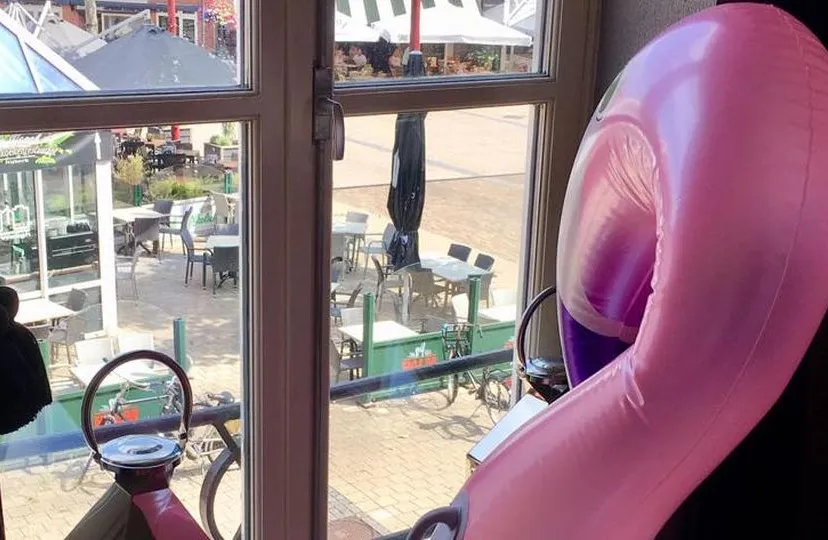 2019 07 27 vreemde vogel 3