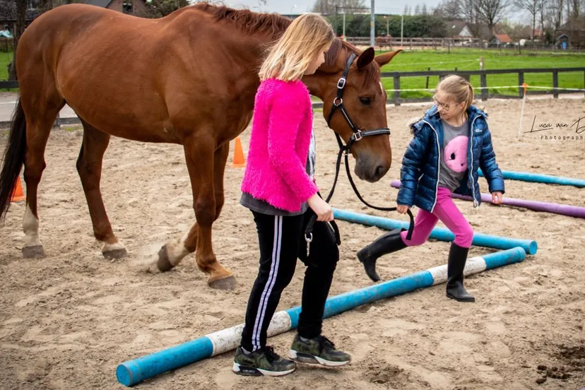 2019 08 03 paardencoach
