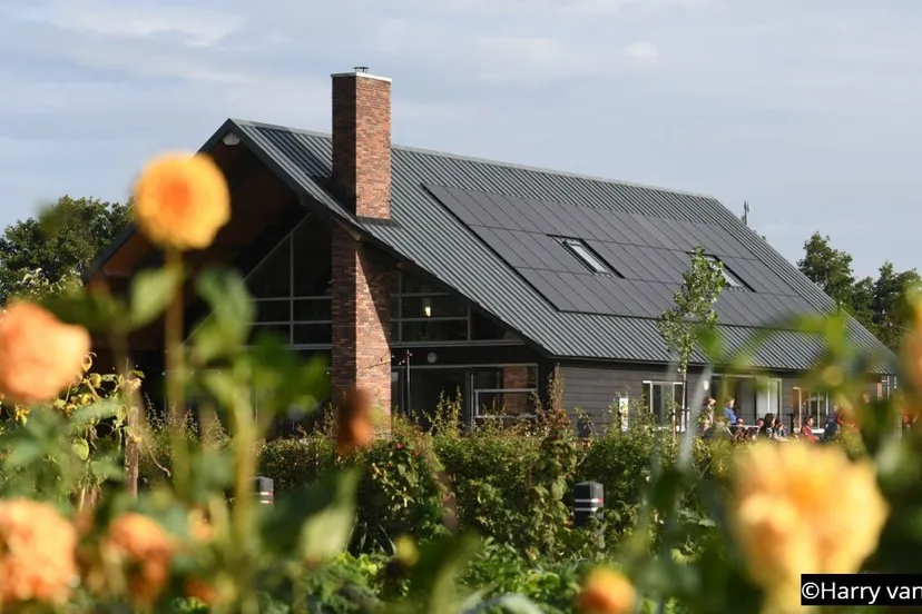 2019 09 07 scouting 001