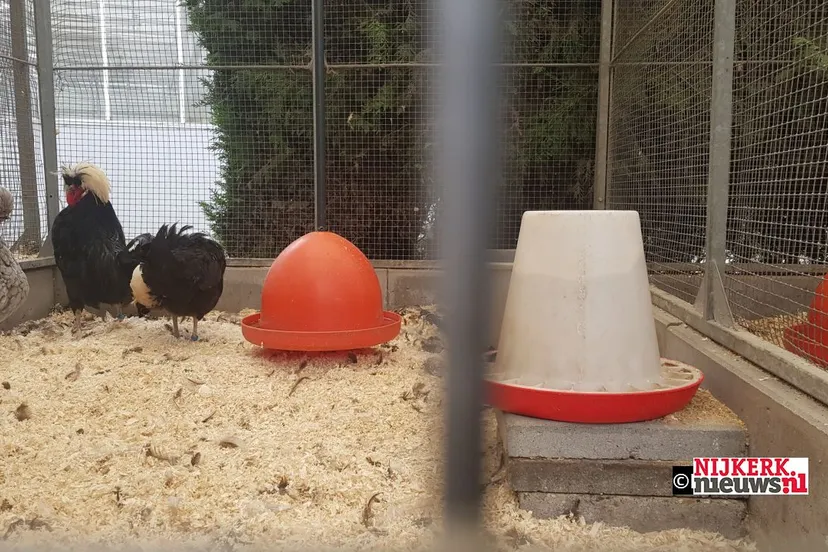 2019 10 07 dutch food week aeres rozelaar 005