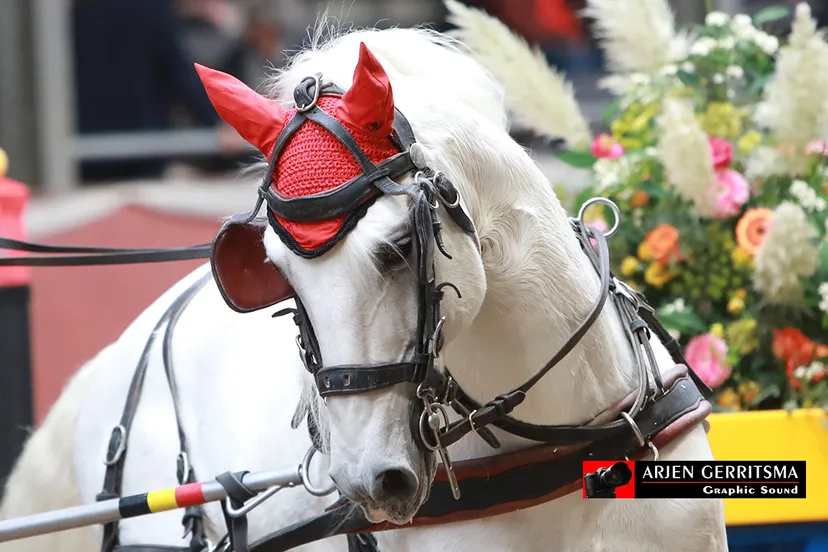 2019 11 01 menindoor 10