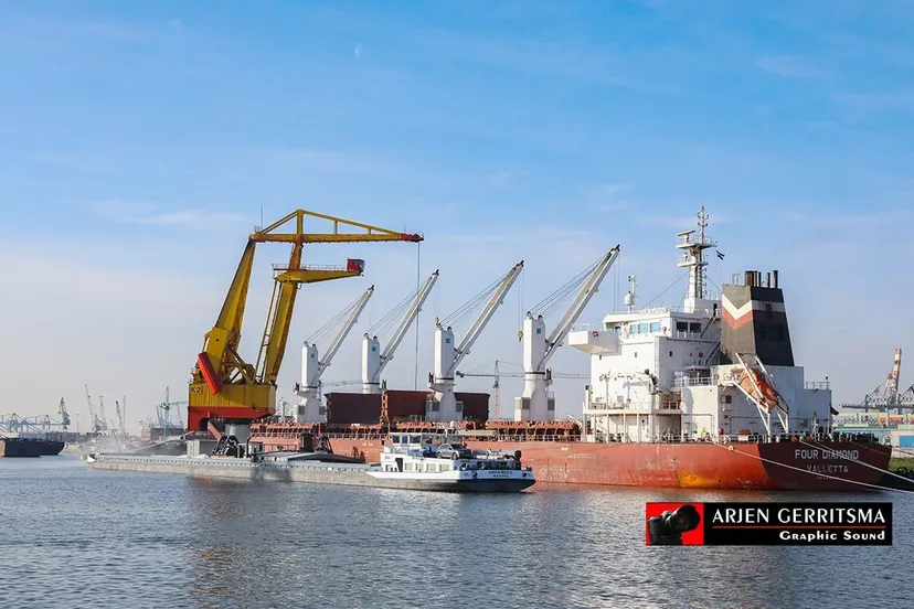 2019 11 20 bhn haven 6 1