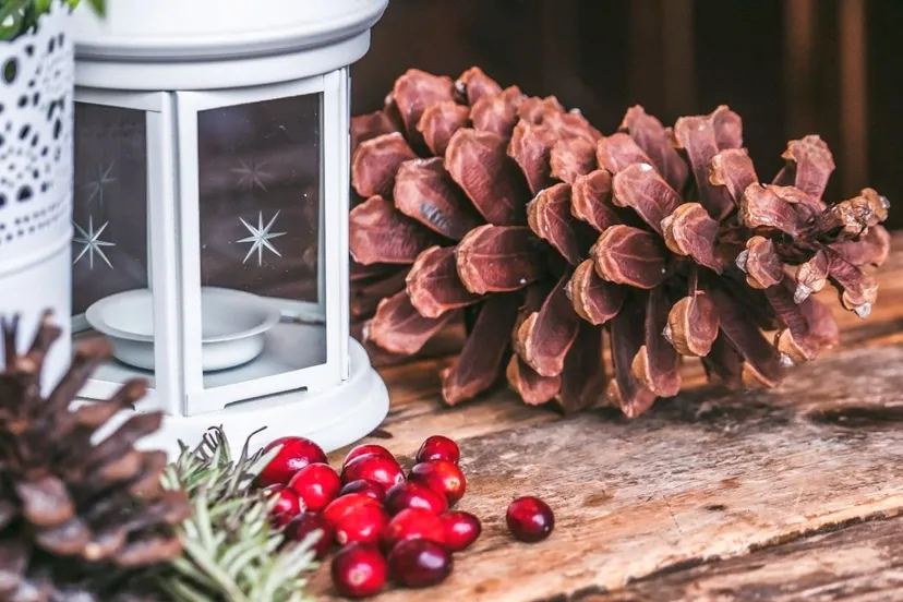 2019 11 26 winterfair