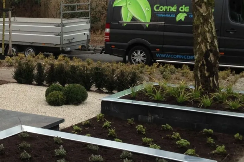 2019 12 20 corn de vries 2